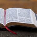 The Best Bible Apps for Android: A Comprehensive Guide